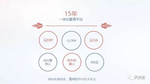 天衣CRM客戶管理系統 賦能餐飲加盟企業，鑄就品牌發展新引擎